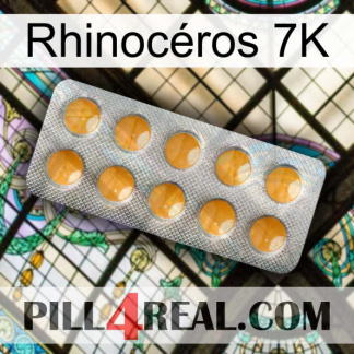 Rhinocéros 7K levitra1